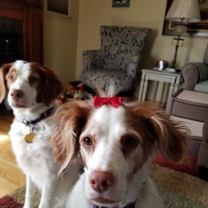 Meet your Posher, Kerri